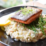 Venkelrisotto met zalm en zeekraal