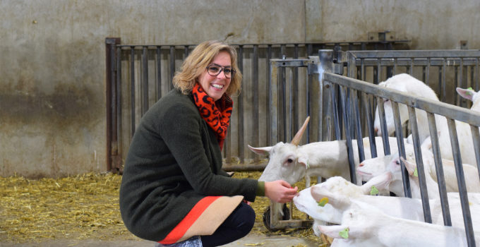 Geitenboerderij foto - Anniepannie