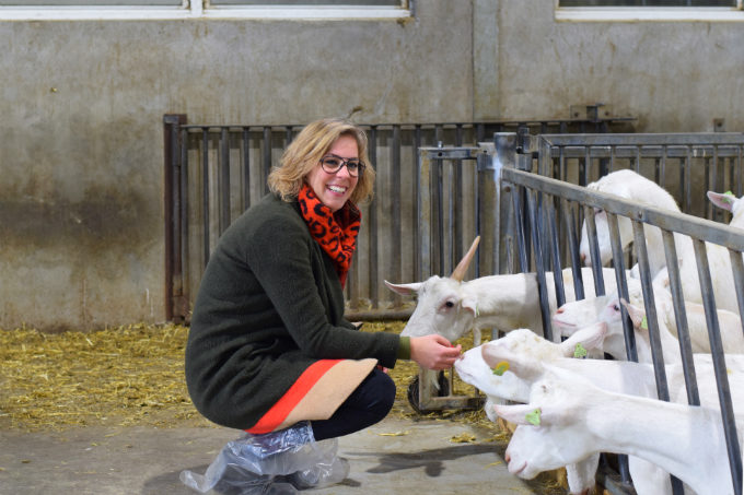 Geitenboerderij foto - Anniepannie